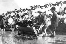 Trong số những anh hùng hào kiệt của dân tộc, Hồ Chí Minh vượt lên như một ngôi sao sáng chói, có sức hấp dẫn lạ kỳ