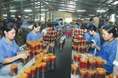 DNNVV cần được phân loại cụ thể theo quy mô và ngành nghề kinh doanh để làm cơ sở cho việc hoạch định các chính sách. Ảnh: Lê Tiên