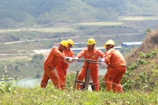Điện lực Sơn La nỗ lực hoàn thành các dự án đúng tiến độ