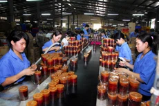 Khối DNNVV hiện chiếm khoảng 98% tổng số DN Việt Nam và có vai trò quan trọng đối với phát triển kinh tế đất nước. Ảnh: Hoài Tâm