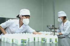 Các quy trình đấu thầu, hệ thống hành lang pháp lý được hoàn thiện và minh bạch hóa sẽ hết sức cần thiết để giúp DN dược trong nước lớn mạnh. Ảnh: Lê Tiên