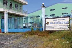 Phiên bán đấu giá tài sản của Công ty TNHH KM Phương Nam dự kiến diễn ra ngày 27/10. Ảnh: Thiên Phước