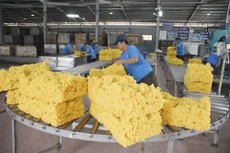 Tăng sức cạnh tranh cho ngành cao su