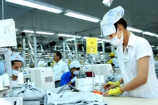 Báo cáo của Chính phủ cho thấy năng suất lao động chưa có sự chuyển biến rõ rệt. Ảnh: Lê Tiên