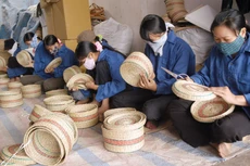 Các hộ kinh doanh khi chuyển đổi thành doanh nghiệp được miễn phí môn bài trong 3 năm. Ảnh: Huyền Trang