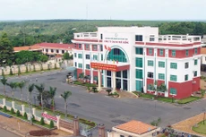 6 tháng đầu năm 2017, Cao su Phú Riềng đạt 86 tỷ đồng lợi nhuận sau thuế. Ảnh: Quang Tuấn