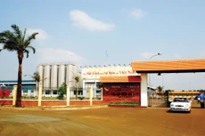 Cổ phiếu Sabeco được chào bán cạnh tranh với mức giá 320.000 đồng/CP. Ảnh: Ngọc Kỳ