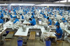 TNG: Lợi nhuận sau thuế đạt hơn 107 tỷ đồng, hoàn thành 93% kế hoạch cả năm