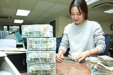 Ngân hàng Nhà nước dự kiến kéo dài cho vay USD ngắn hạn đến hết năm 2018 đối với doanh nghiệp có đủ nguồn thu xuất khẩu để trả nợ. Ảnh: Quang Ngọc