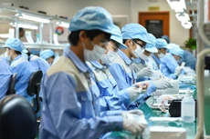 Tính đến hết tháng 9/2017, tổng kim ngạch xuất nhập khẩu của khu vực FDI đạt 204,5 tỷ USD, chiếm 66,3% tổng trị giá xuất nhập khẩu hàng hóa của cả nước. Ảnh: Đức Thanh