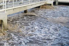 Công ty CP Giấy An Hòa phải bỏ ra hàng trăm tỷ đồng để thuê chuyên gia và thay thế công nghệ xử lý nước thải mà Tập đoàn Marubeni (Nhật Bản) đã thiết kế