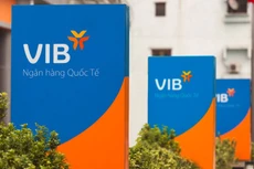 Các bị can đã lập khống các tài liệu, chứng từ để chiếm đoạt tiền của VIB - Chi nhánh Nguyễn Huệ. Ảnh: VIB