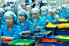 Những năm gần đây, Chính phủ đã có nhiều chính sách cải thiện môi trường kinh doanh, qua đó góp phần cắt giảm chi phí cho doanh nghiệp. Ảnh: Lê Tiên