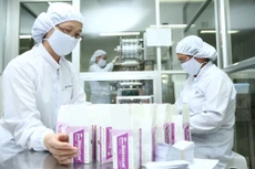 Chính phủ yêu cầu Bộ Y tế khẩn trương rà soát, chấn chỉnh công tác quản lý nhà nước về dược, tăng cường quản lý giá thuốc. Ảnh: Tiên Giang