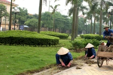 Ảnh chỉ mang tính minh họa.