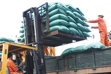 Dự thảo Luật Quản lý ngoại thương được đánh giá vẫn nặng về khâu quản lý mà chưa chú trọng phát triển hoạt động ngoại thương. Ảnh: Nhã Chi