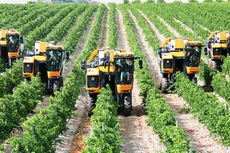 Dành 100.000 tỷ đồng cho vay ưu đãi nông nghiệp công nghệ cao