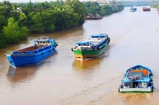 Ảnh Internet