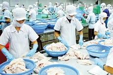 Dự án chế biến thủy sản tại Đồng Tháp giảm vốn đầu tư