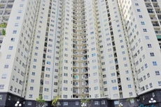 Vinaconex 3 “đặt cược” vào bất động sản