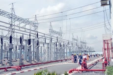 Tổng công ty Điện lực TP.HCM phấn đấu đến năm 2018 thực hiện đấu thầu qua mạng cho 100% các gói thầu đủ điều kiện