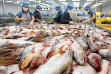 Gánh nặng tài chính gây áp lực lớn lên hoạt động của Công ty Thủy sản số 4. Ảnh: Tường Lâm