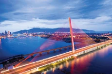 Đấu thầu qua mạng tại Đà Nẵng có tỷ lệ tiết kiệm trung bình đạt 8,3%, trong khi mức tiết kiệm trung bình của các hình thức đấu thầu truyền thống chỉ khoảng 1,5%