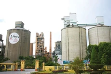 Cả nghìn tỷ đồng của Vicem đọng trong hoạt động đầu tư tài chính và bất động sản. Ảnh: Đức Trung