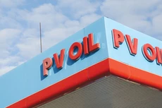 Nhiều doanh nghiệp nhà nước chậm công bố hoặc công bố thông tin không đầy đủ. Ảnh: Lê Tiên