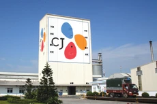 CJ đang là cổ đông lớn nhất tại Công ty Cầu Tre với việc sở hữu 47,33% vốn điều lệ. Ảnh: Nhơn Hòa