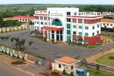 Nửa đầu năm 2016, hoạt động thanh lý cây cao su đóng góp 60% tổng lợi nhuận của Cao su Phú Riềng. Ảnh: Nhã Chi st