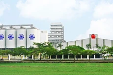 Các bị cáo trong vụ án đã lợi dụng chính sách rượu, bia xuất khẩu không bị đánh thuế tiêu thụ đặc biệt để tiêu thụ rượu, bia xuất khẩu ở trong nước nhằm trốn thuế. Ảnh: Tường Lâm