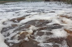 Sunghotech Vina bị phạt 200 triệu đồng vì đổ chất thải nguy hại