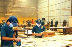 25 triệu đô la Australia được cung cấp nhằm giúp Việt Nam thực hiện các ưu tiên cải cách nêu tại Kế hoạch Phát triển kinh tế - xã hội 2016 – 2020. Ảnh: Ngọc Kỳ