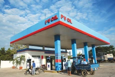 PV Oil đã góp vốn xấp xỉ 900 tỷ đồng vào các doanh nghiệp để triển khai dự án nhiên liệu sinh học. Ảnh: Lê Tiên