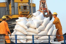 Đến hết năm 2016, Vinafood 2 đã phải trích lập dự phòng 603 tỷ đồng. Ảnh: Nhã Chi