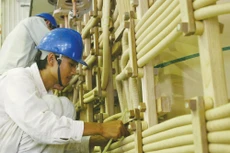 Gói thầu số 28: “Cung cấp lắp đặt máy phát điện” do Trung ương Hội liên hiệp Phụ nữ Việt Nam làm chủ đầu tư. Ảnh: Tường Lâm