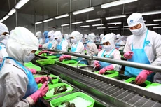 Doanh nghiệp tư nhân, bức tranh nhiều mảng sáng