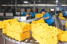 Giá cao su thiên nhiên khó có thể giảm khi nhu cầu tiêu thụ vẫn tiếp tục tăng. Ảnh: Tùng Châu