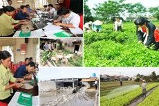 Giá trị các khoản vay của hộ nghèo có chiều hướng tăng