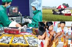 Theo các chuyên gia, mặc dù đề xuất tăng thuế VAT thông thường lên 12% không áp dụng cho nhóm lương thực, thực phẩm, y tế, giáo dục, nhưng người tiêu dùng ít nhiều vẫn bị ảnh hưởng. Ảnh: Lê Tiên
