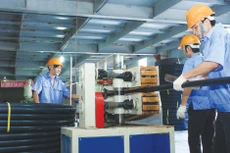 Cần tập trung phát triển những ngành có triển vọng tăng trưởng trong năng suất lao động, giảm quy mô ngành có năng suất lao động âm. Ảnh: Lê Tiên