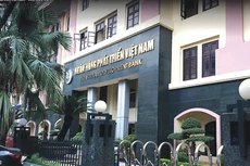 Ngân hàng Phát triển Việt Nam xác định, dư nợ tại Chi nhánh Minh Hải theo kiểm tra đầu năm 2010 là 1.173 tỷ đồng. Ảnh: Lê Tiên