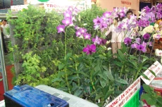 Nhà thầu tại Sóc Trăng bị chấm dứt hợp đồng vì chậm tiến độ