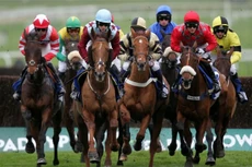 Nghiên cứu xây trường đua ngựa 500 triệu USD tại Cần Thơ