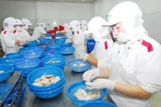 TP.HCM đã vận động được 1.171 hộ kinh doanh chuyển lên doanh nghiệp. Ảnh: Lê Tiên