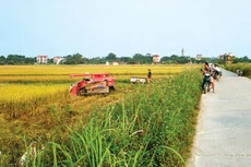 Do nguồn lực còn hạn chế nên chưa có nhiều dự án đầu tư vào nông nghiệp, nông thôn được hỗ trợ. Ảnh: Lê Tiên