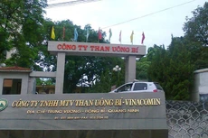 Than Uông Bí hoạt động chính trong các lĩnh vực: sản xuất, khai thác, chế biến kinh doanh than và các khoáng sản khác, thăm dò khảo sát địa chất và địa chất công trình. Ảnh Internet
