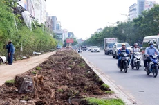 Ảnh chỉ mang tính minh họa.