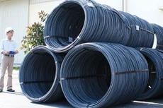 Tenimex đạt doanh thu 3.482 tỷ đồng năm 2016, mức cao nhất trong 4 năm. Ảnh: Lê Tiên